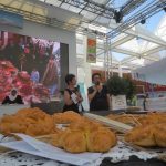 expo2015 artemixx (17)